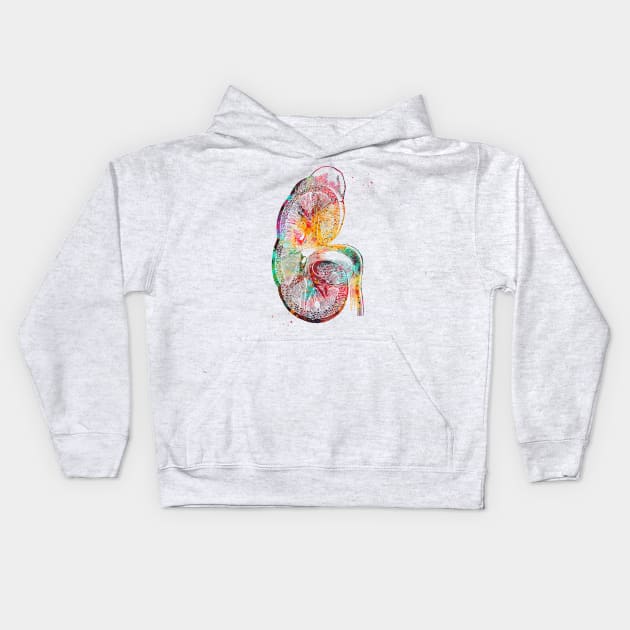 Kidney section Kids Hoodie by erzebeth